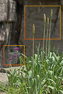 With HDR Darkroom's Alignment