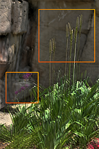 Without HDR Darkroom's Alignment